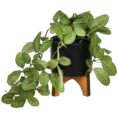 Otto Footed Plant Pot with Artificial Plant