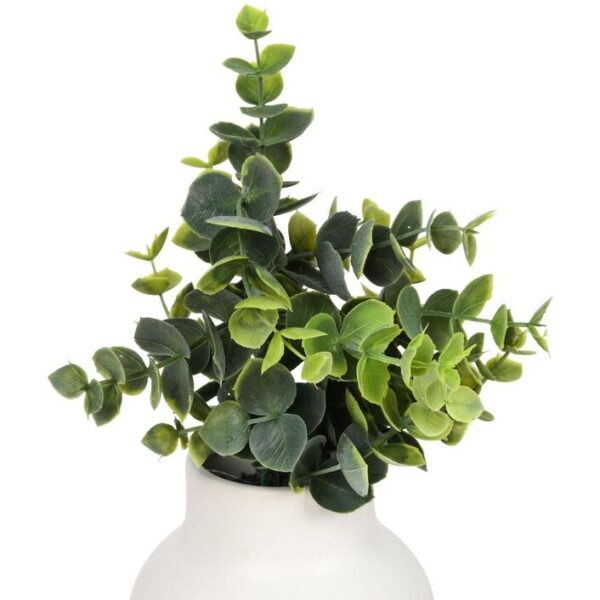 Otto Mini Plant Leaf-2