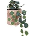 Otto Ribbed Hanging Planter with Plant Pink-2