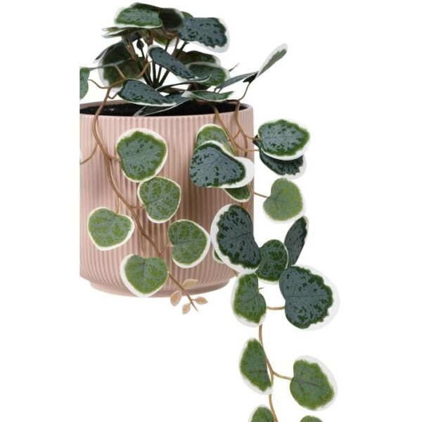 Otto Ribbed Hanging Planter with Plant Pink-2