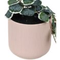 Otto Ribbed Hanging Planter with Plant Pink-3