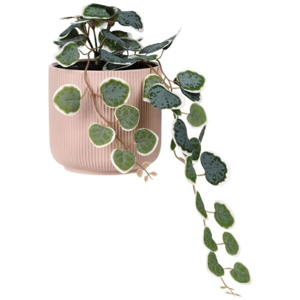 Otto Ribbed Hanging Planter with Plant Pink