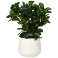 Otto Round White Glazed Pot with Plant