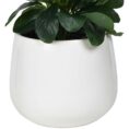 Otto Round White Glazed Pot with Plant-3