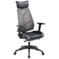 Pago Pinnacle Ergonomic Mesh Chair